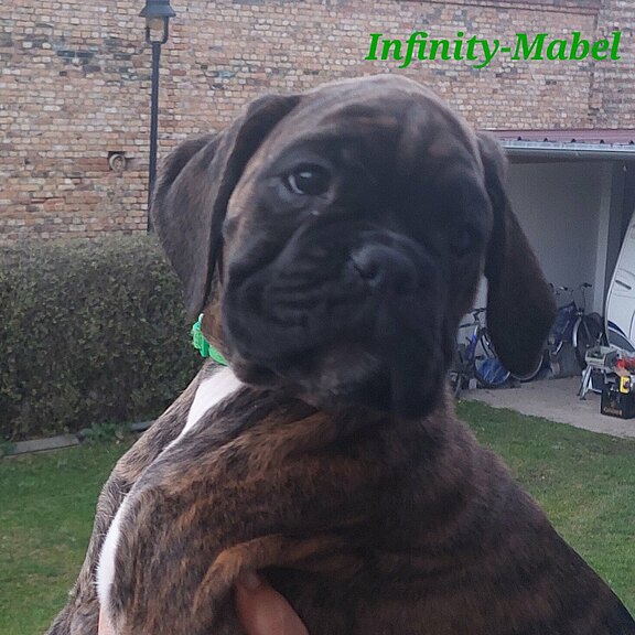 Infinity-Mabel202412.jpg  